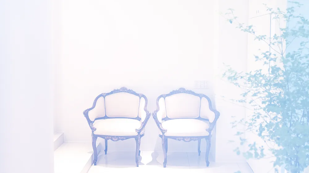 Image hover effect image