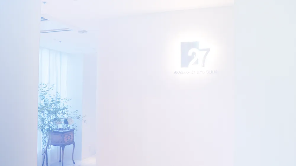 Image hover effect image